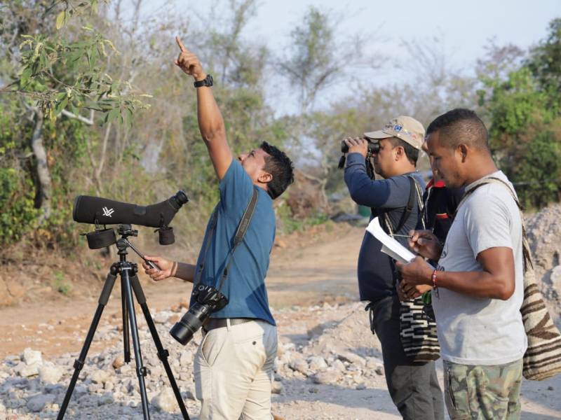 An ideal birding itinerary in La Guajira
